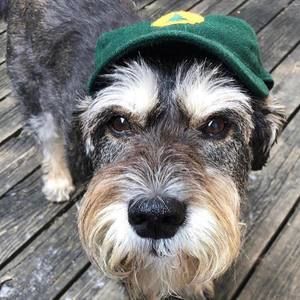 Meet your Posher, Bill